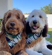 Murphy and Malibu.png